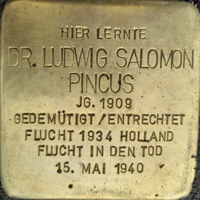 Ludwig Pincus, geboren am 27.5.1909, lebte mit seinen Eltern Friedrich und Eugenie Pinkus, und seiner älteren Schwester Charlotte in Köln auf dem  Hohenzollernring 59. Ludwig legte Ostern 1927 sein Abitur an der Kreuzgasse ab. 1934 emigrierte er in die Niederlande, beendete dort sein Medizinstudium und ließ sich als Hausarzt nieder.Wenige Tage nach dem deutschen Überfall auf die Niederlande entschloss sich Ludwig, Suizid zu verüben. 